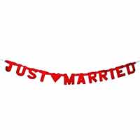 Z_03: Just Married Garland