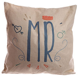 Z_106: Pillow Mr.