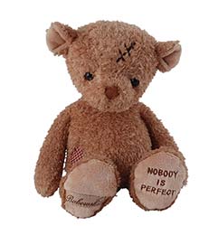 Z_38: Teddy Nobody is perfect  gift wrapped