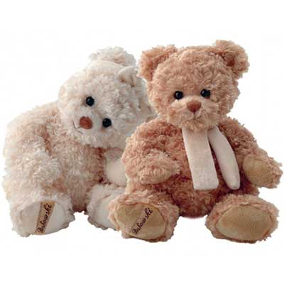 TWO TEDDY BUDDIES | Plush Toy Gifts