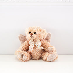 Z_02: Rafael Angel  Teddy   gift wrapped