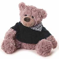 Z_44: Teddy Bear Sylvester gift wrapped Z_44: Teddy Bear Sylvester gift wrapped