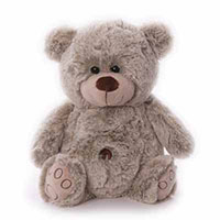 Z_63: Teddy Best Buddy Z_63: Teddy Best Buddy