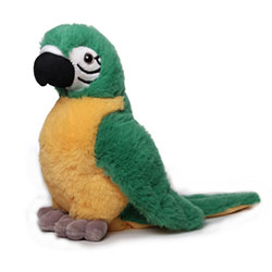 Z_64: Fluffy Parrot Z_64: Fluffy Parrot