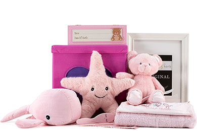 WELCOME BABY GIFT BASKET FOR GIRLS 