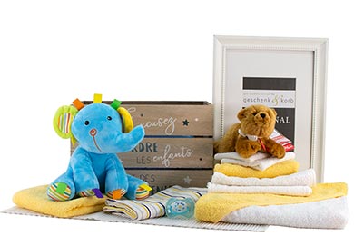 ADORABLE BABY BOY SURPRISE! GIFT BASKET 