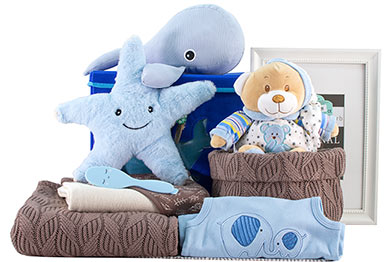BABY GIFT BASKET FOR BOYS -DREAM BIG