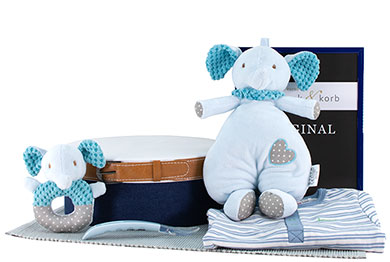 BABY GIFT BASKET FOR BOYS - FAMILY