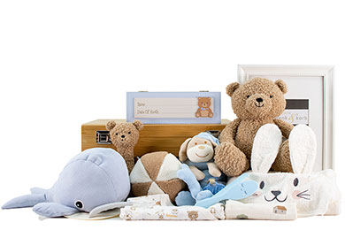 BABY GIFT BASKET FOR BOYS - CONGRATULATIONS 