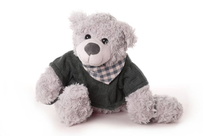 best friend big teddy
